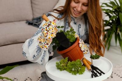 From Trash to Treasure: Transforming Recycled Products into Flower Pots